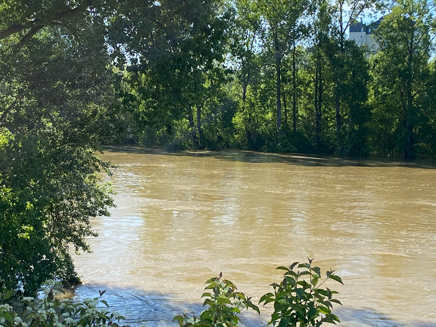 Appartement  1 pièce