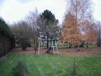 Arboré