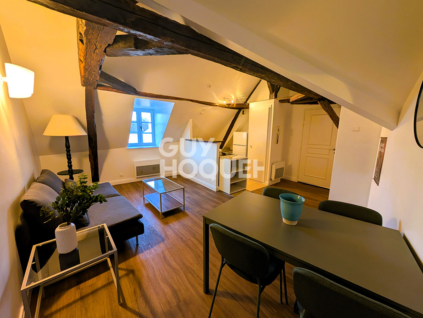 Appartement  MEUBLÉ - Tours centre