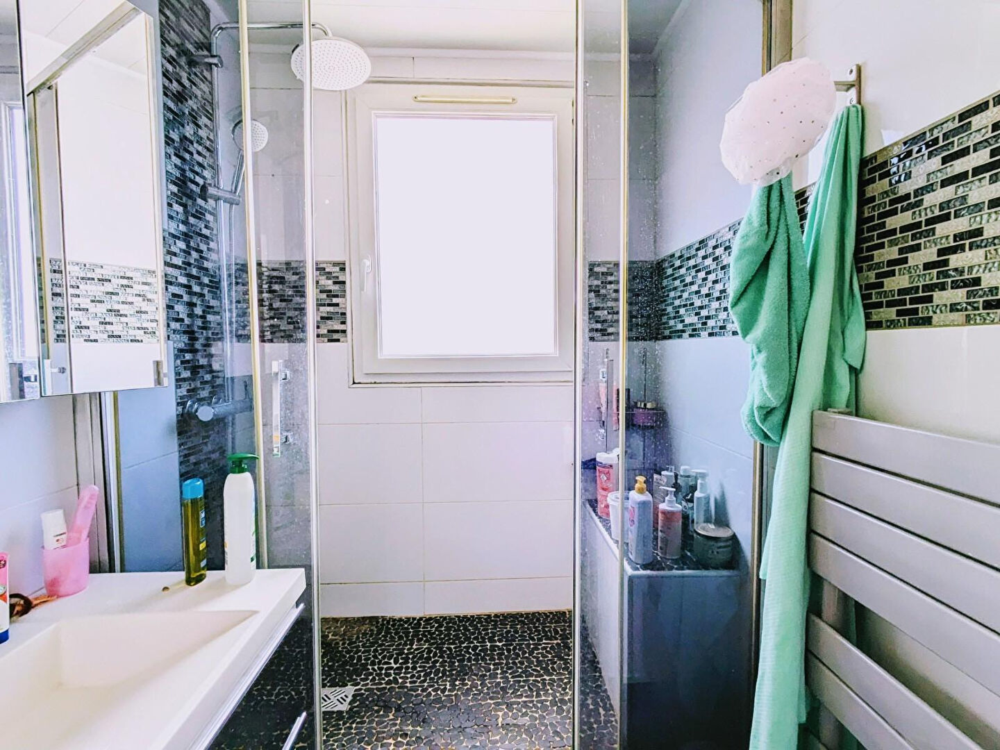 Appartement Saint Denis 4 pièce(s)