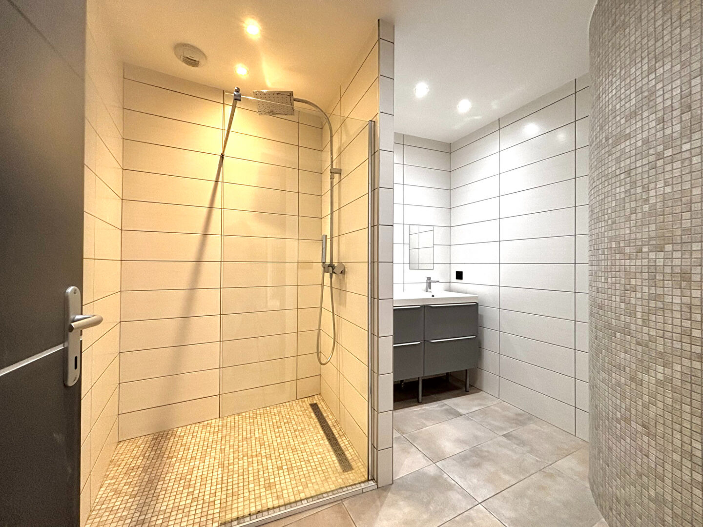 A LOUER - Appartement F4 entièrement rénové - Saint-Étienne (Rue Émile Littré)