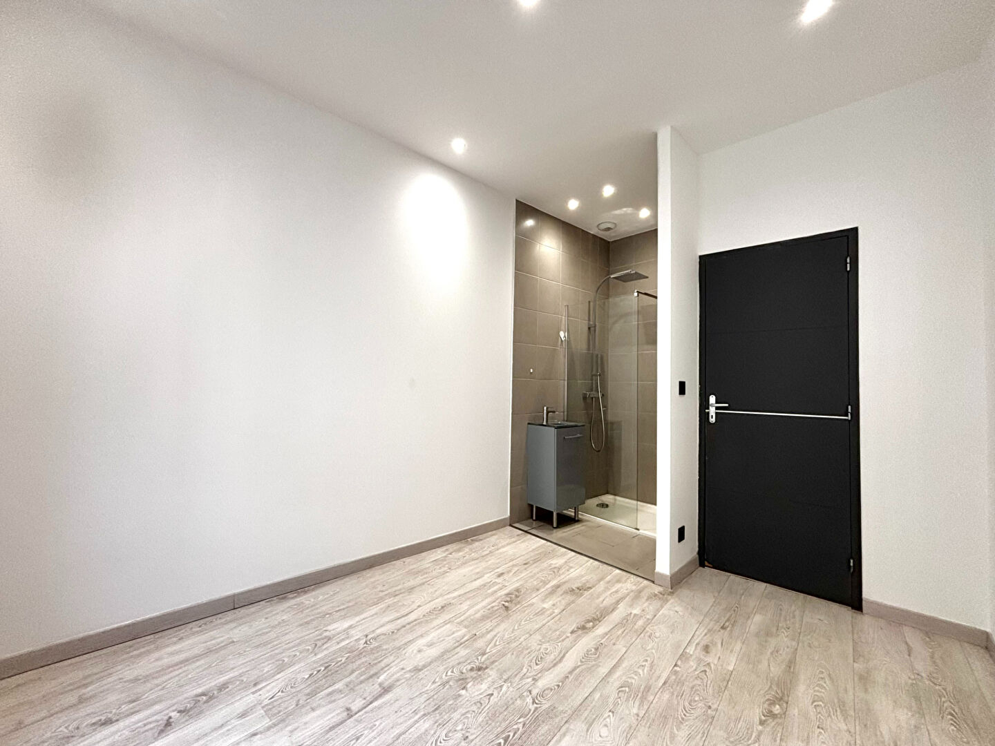 A LOUER - Appartement F4 entièrement rénové - Saint-Étienne (Rue Émile Littré)