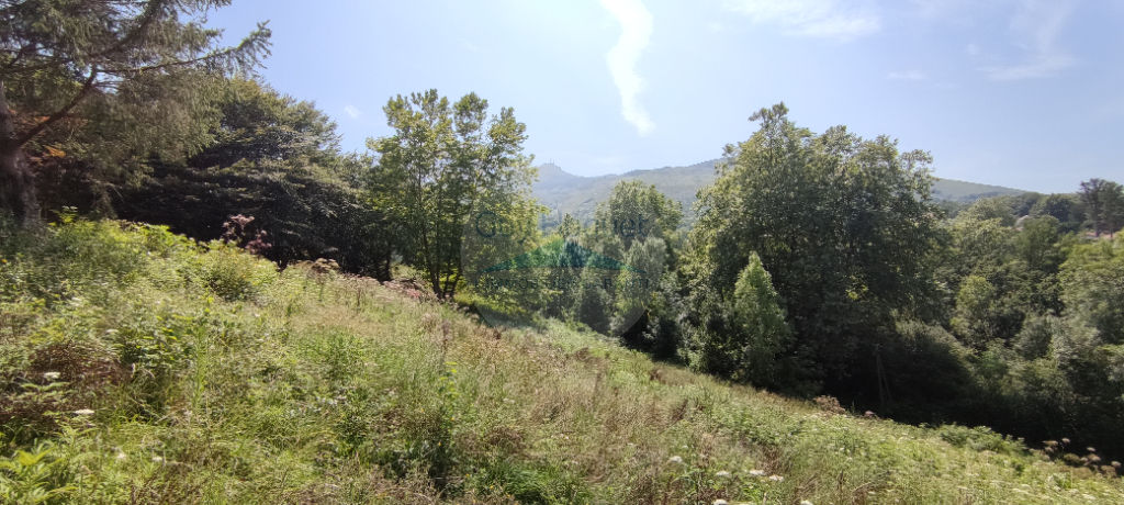 Terrain Ascain 2700 m²