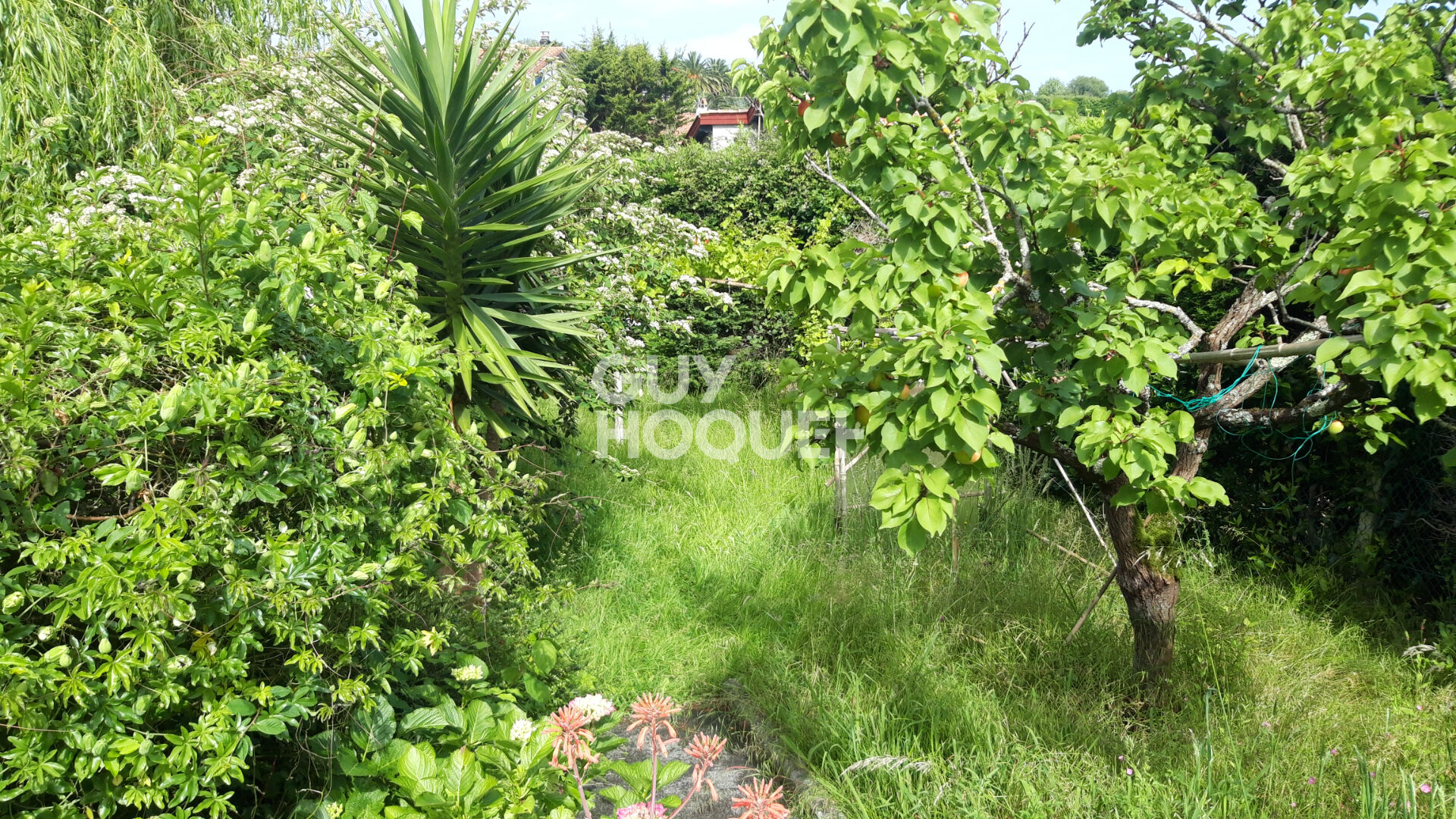 Maison  Saint Jean de Luz 12 pièces 196m²