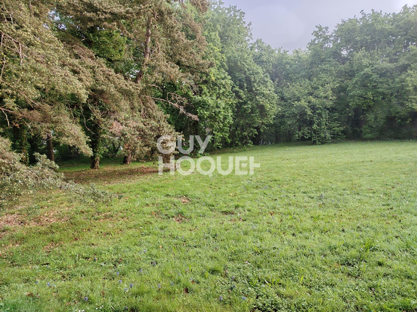 Maison Ciboure 4 pièce(s) 109.13 m²