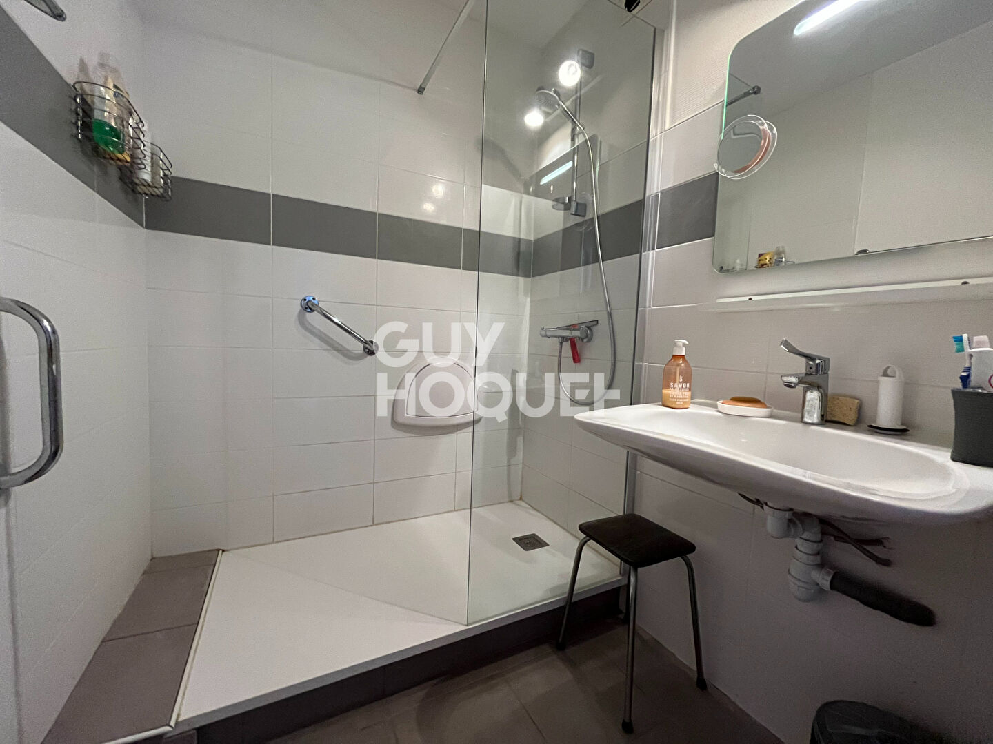 SAINT SYMPHORIEN D OZON  à vendre appartement T3