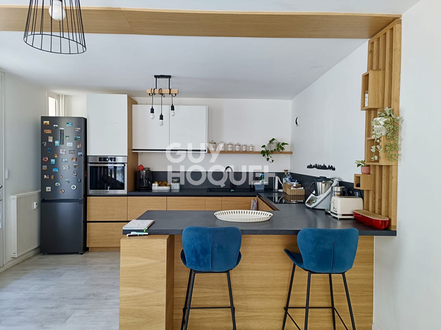 Appartement Vienne Nord 3 pièces 90 m2_REZ DE JARDIN