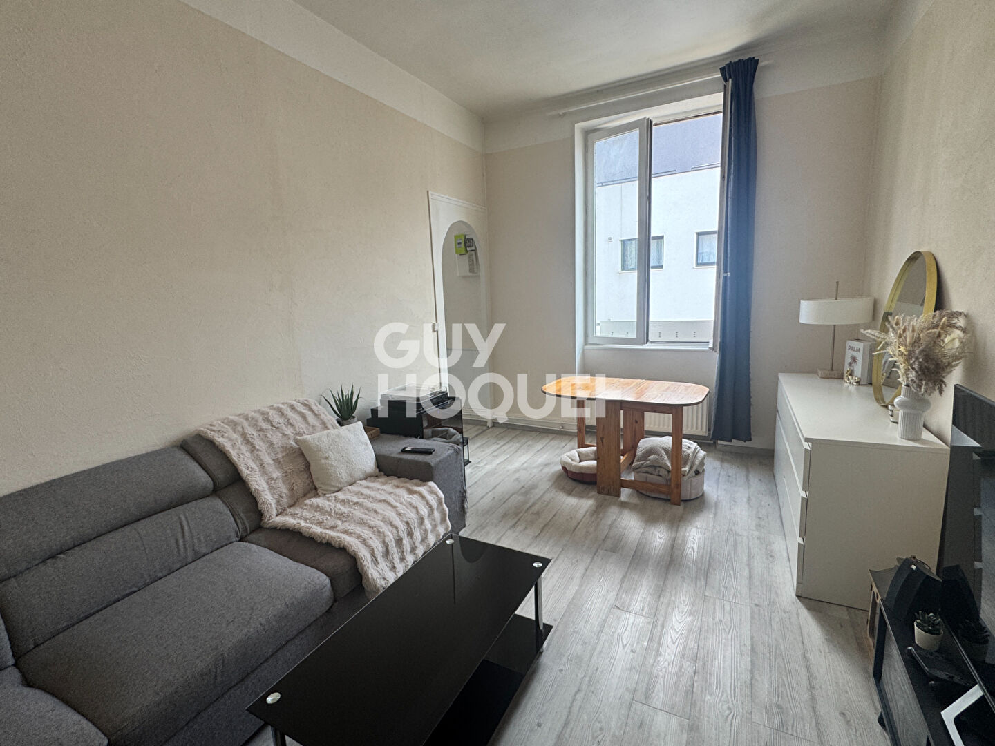 Appartement Vienne 3 pièce(s)