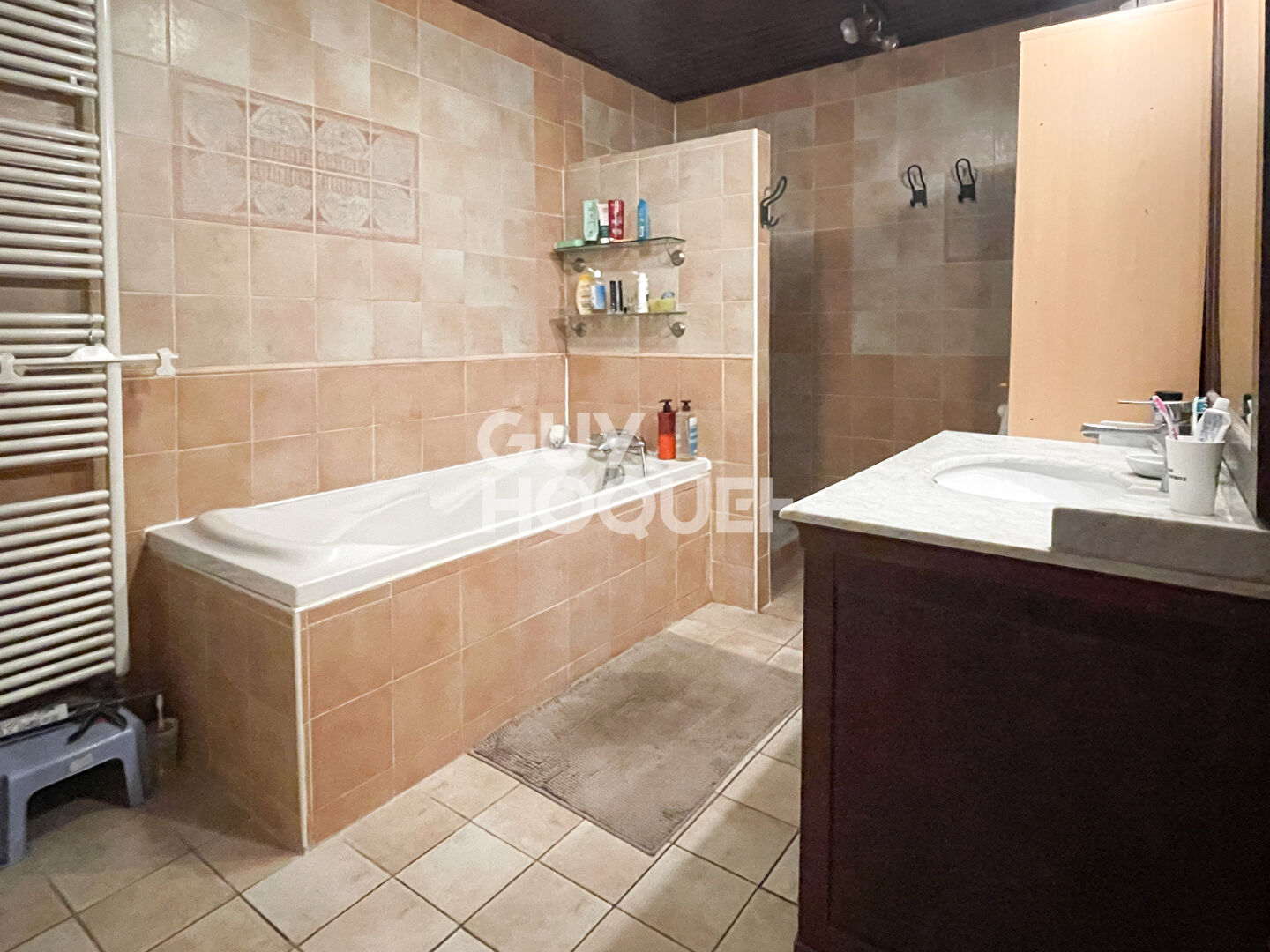 Maison Diemoz 4 pièce(s) 95.50 m2