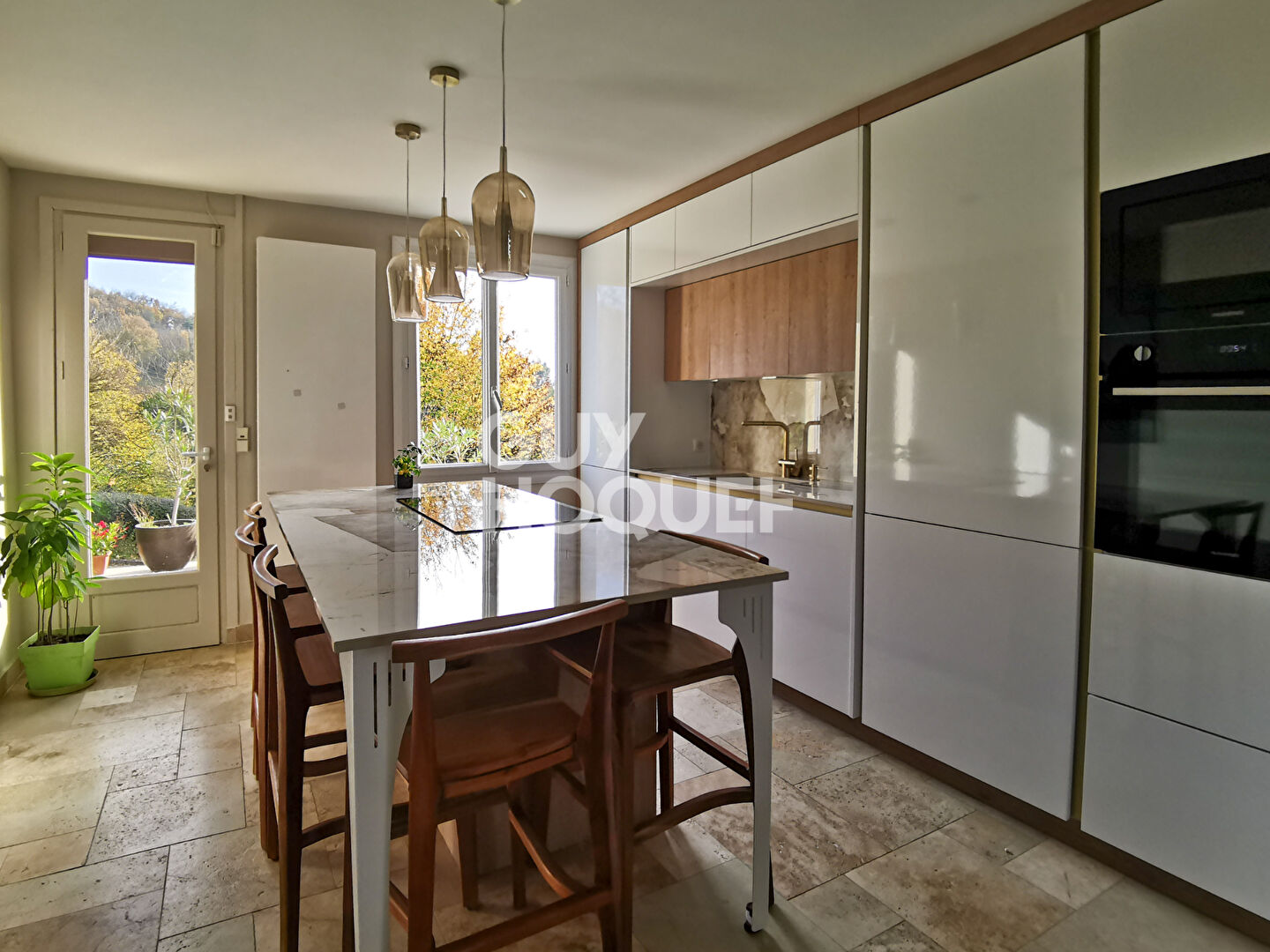 Villa Villette De Vienne 8 pièce(s) 230 m2