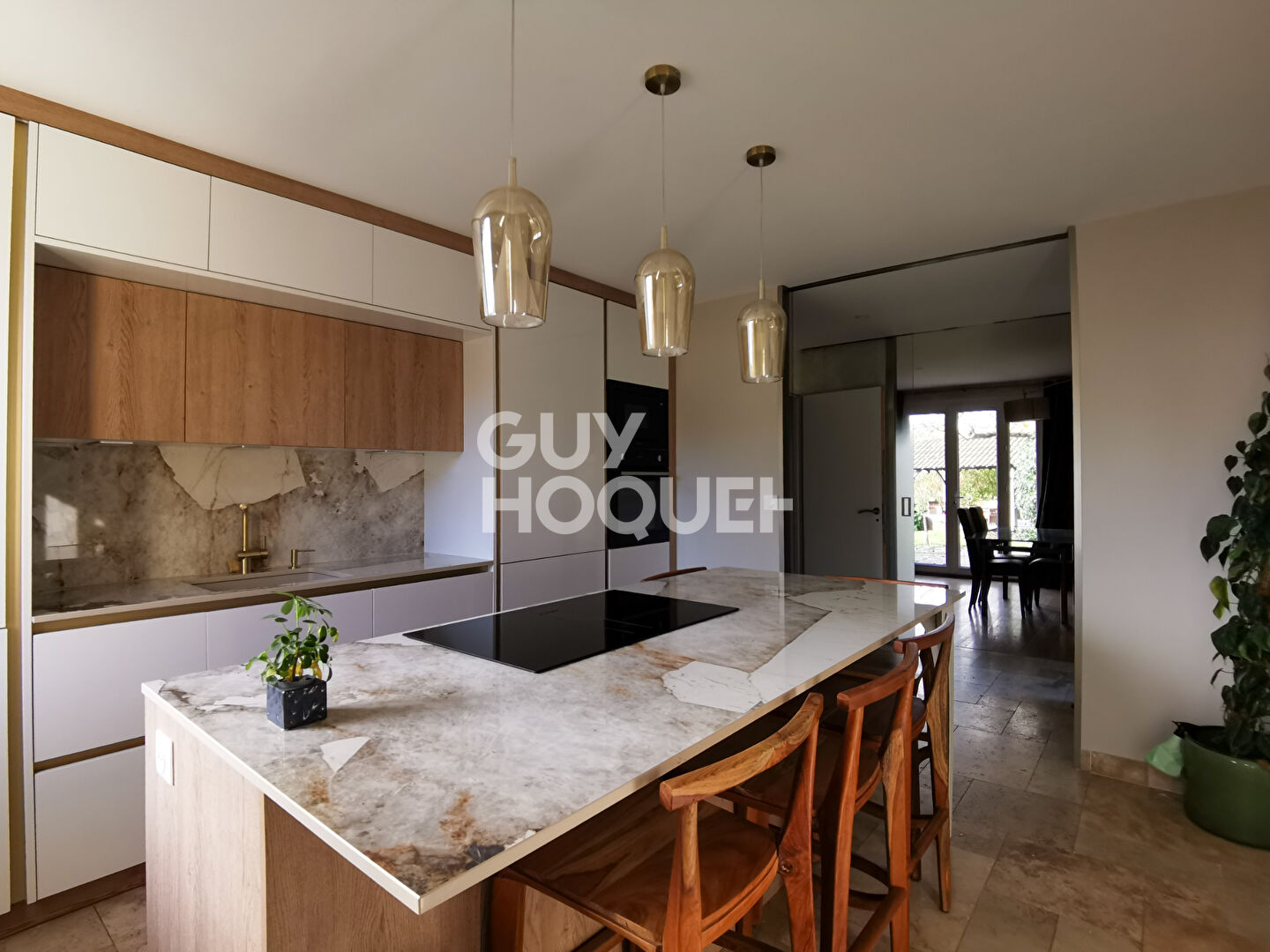 Villa Villette De Vienne 8 pièce(s) 230 m2