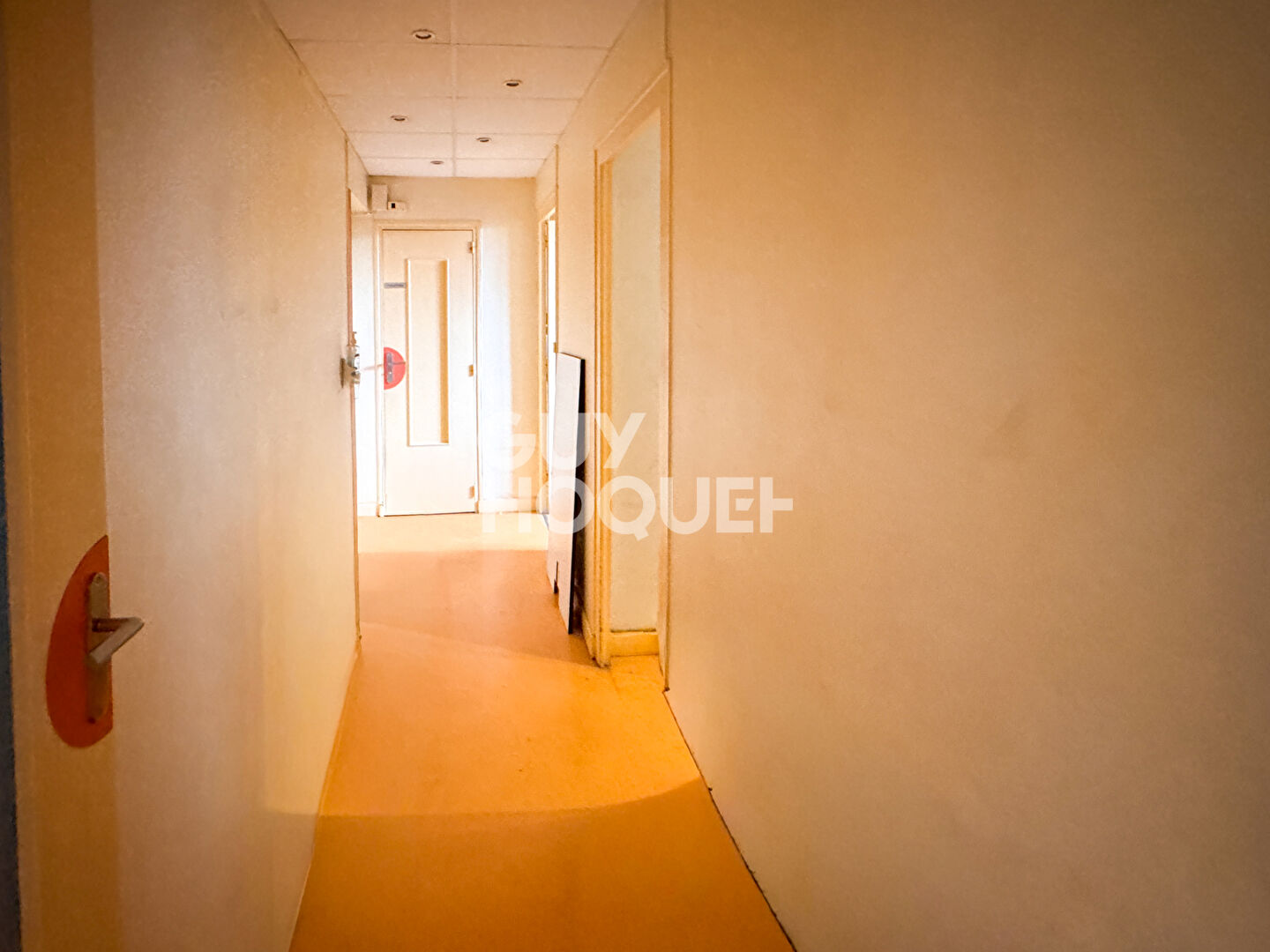 Appartement Pont EvÊque 3 pièce(s) 73.45 m2