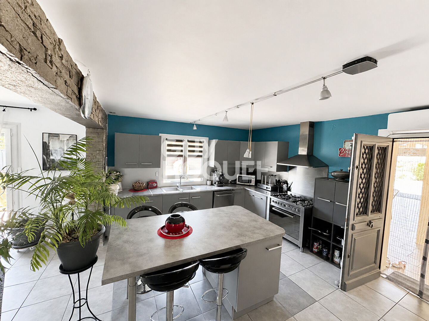 LUZINAY Maison individuelle  au coeur du village