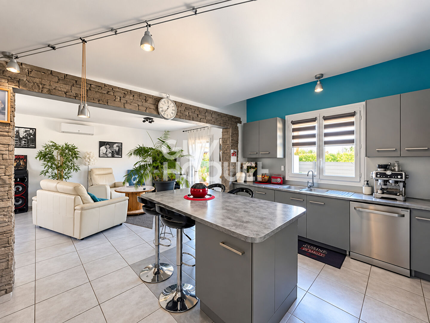 LUZINAY Maison individuelle  au coeur du village