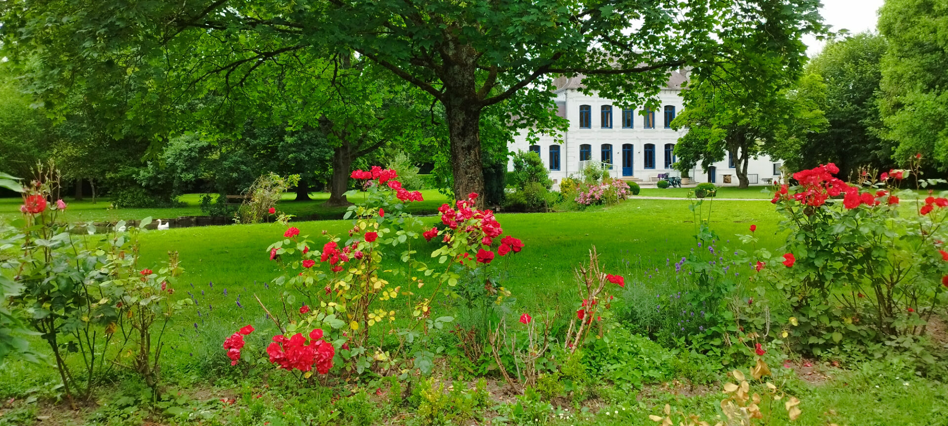 VENTE d'une propriété de 11 pièces (390 m²)