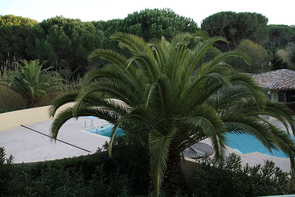 VASTE STUDIO ET LOGGIA