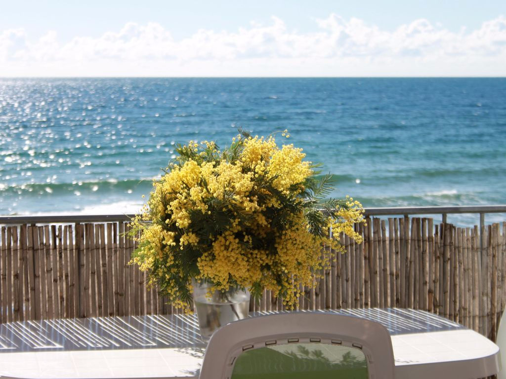 Appartement - 3 pièce(s)