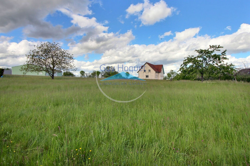 A VENDRE Terrain plat en campagne Mercey-le-Grand 600 m2
