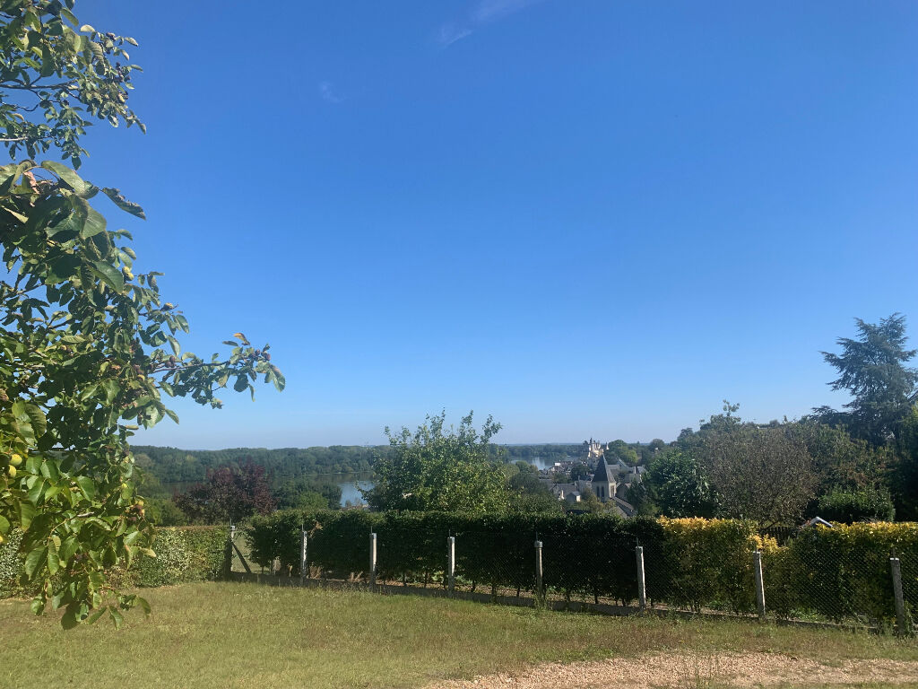 Maison vue Loire et Château de Montsoreau