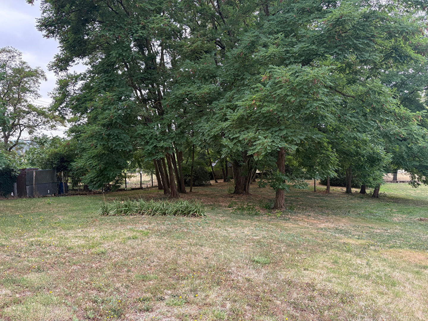 Maison ancienne rénovée, grand jardin à Saumur