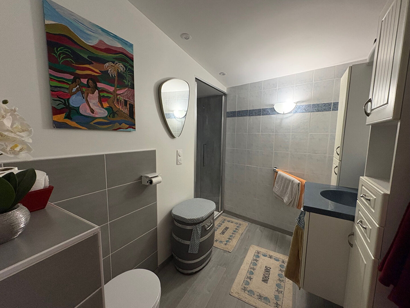 Maison ancienne rénovée, grand jardin à Saumur