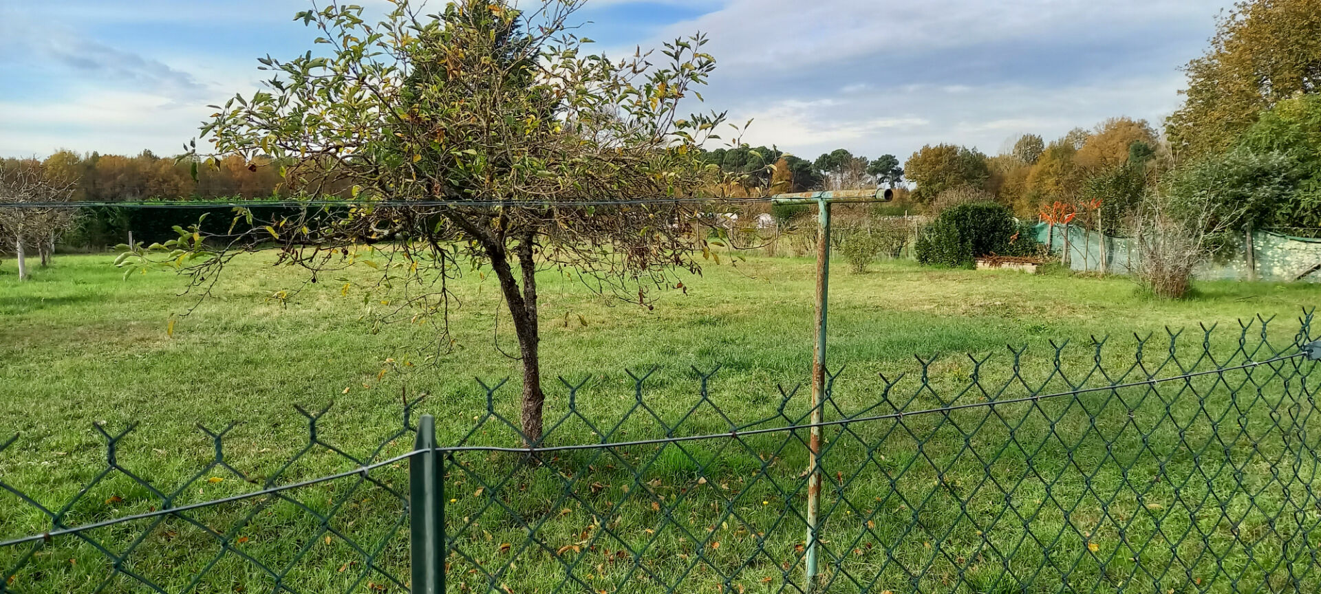 Maison de plain-pied à Brain-sur-Allonnes - 4 chambres, 103 m²