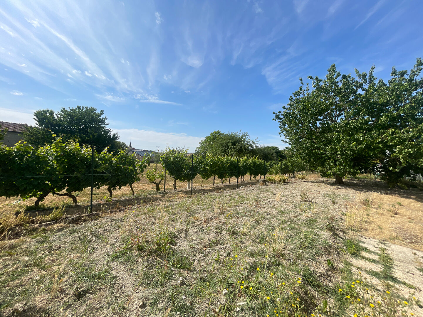 Maison ancienne ferme entièrement rénovée à vendre à Ternay - 4 pièces, 145 m²
