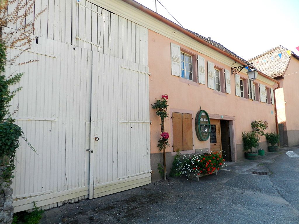 VIGNOBLE entre SELESTAT et COLMAR