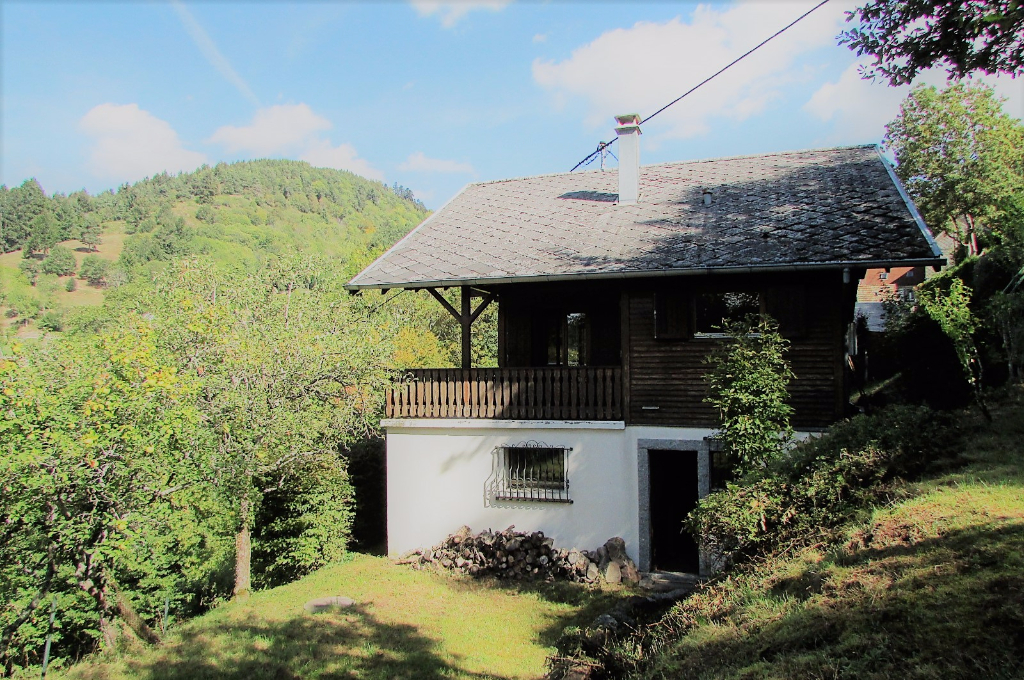 Petit coin de Paradis ....