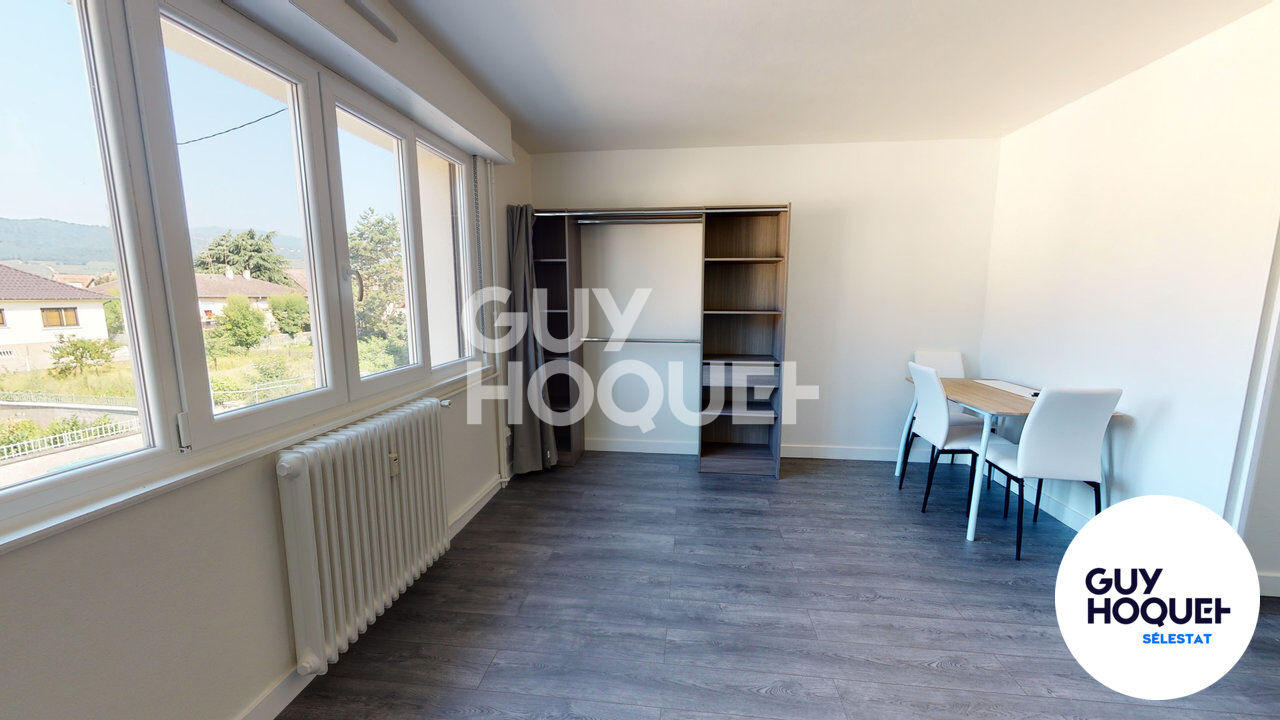Appartement Meublé Wintzenheim 1 pièce(s) 26 m2
