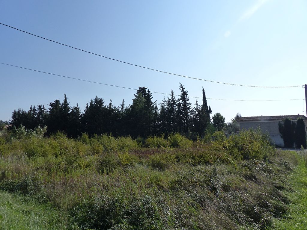 Exclusivité dans un environnement de qualité