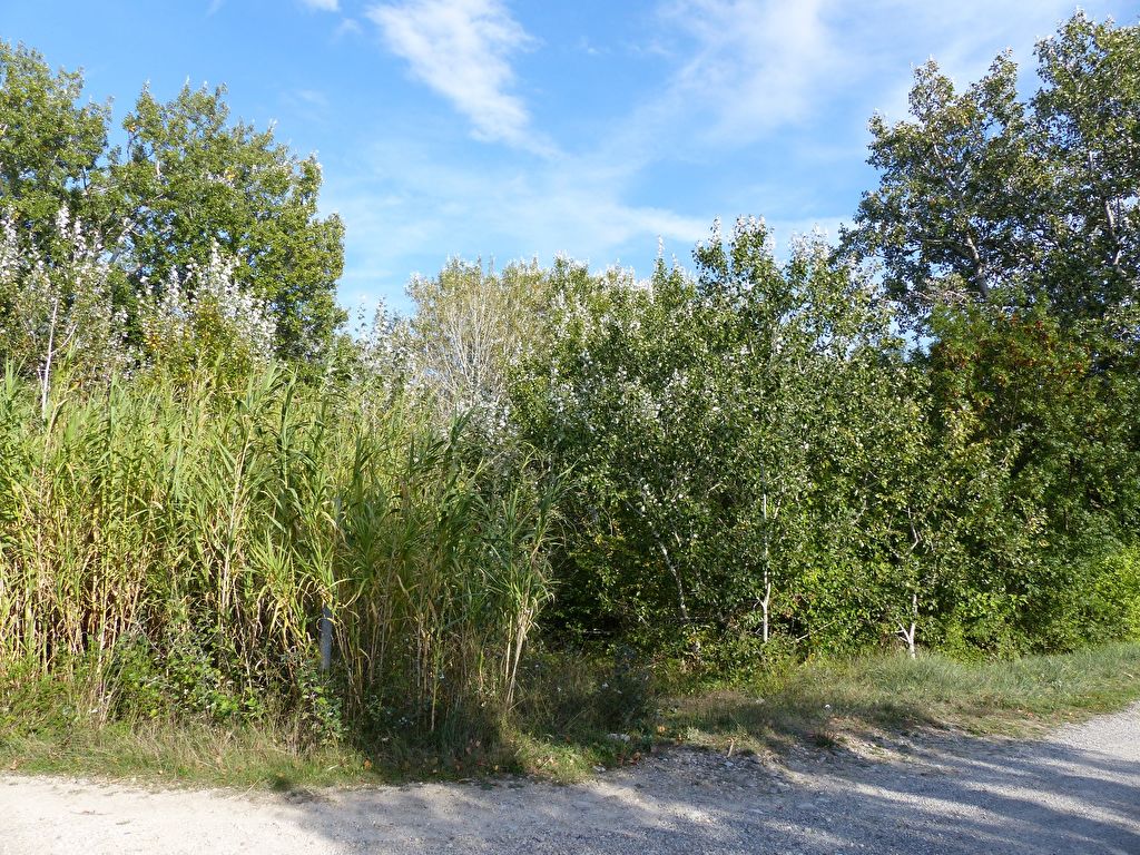 Terrain agricole