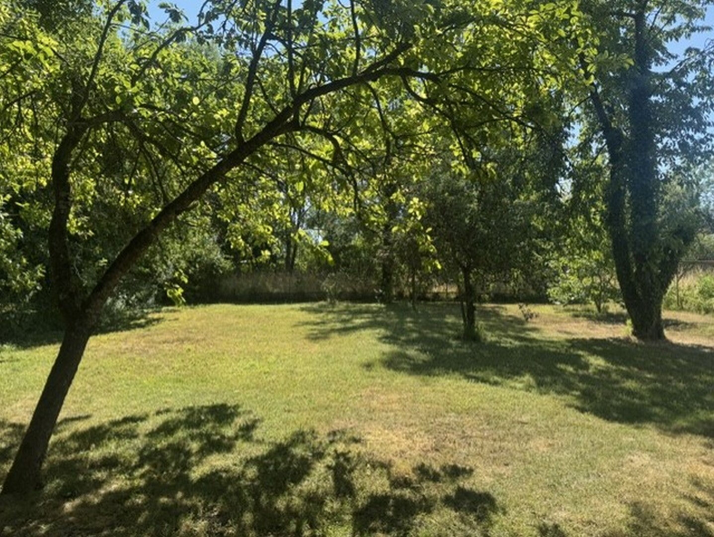 MAISON 7 PIÈCES AVEC JARDIN ET DEPENDANCES à SEMOINE