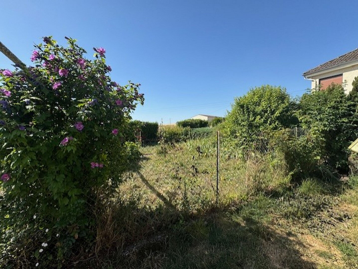 Maison La Celle Sous Chantemerle 5 pièce(s) 82 m2