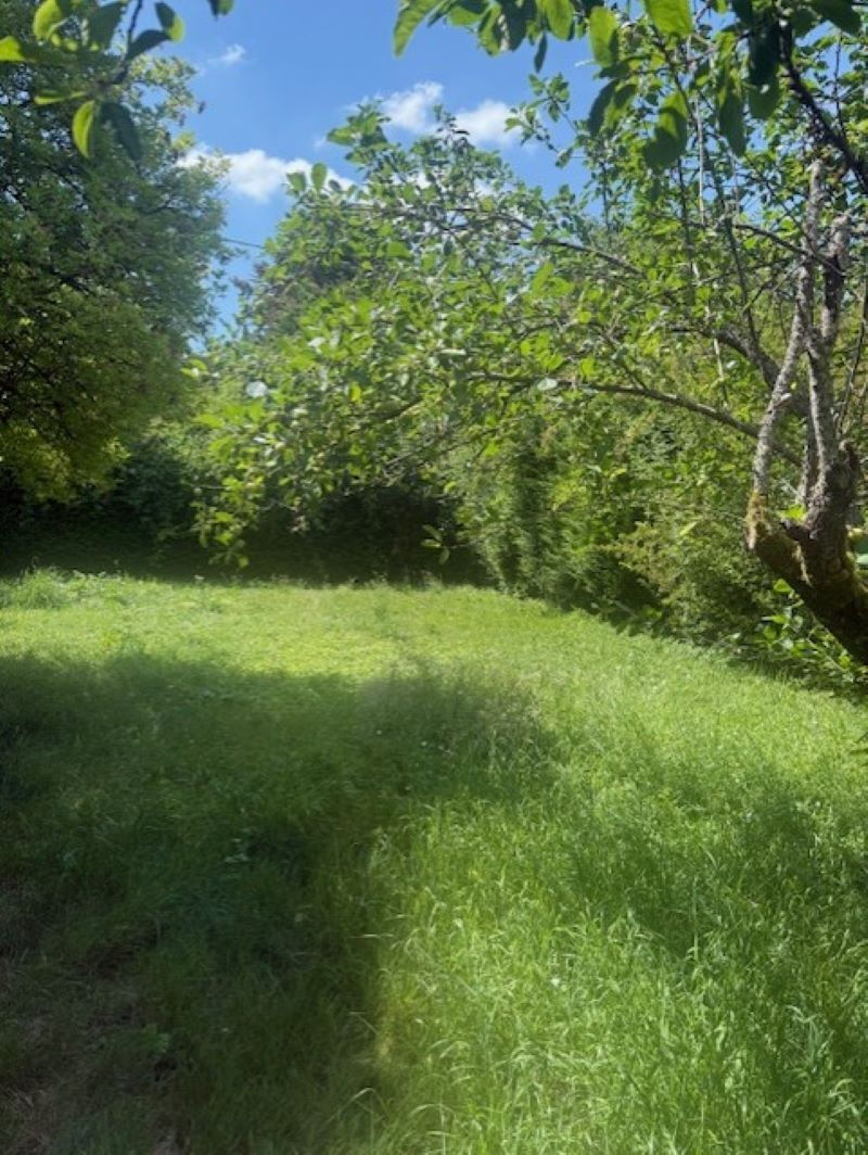 Terrain à vendre de 858 m² à Sézanne - Exclusivité Guy Hoquet · à Sezanne · 35 000 €