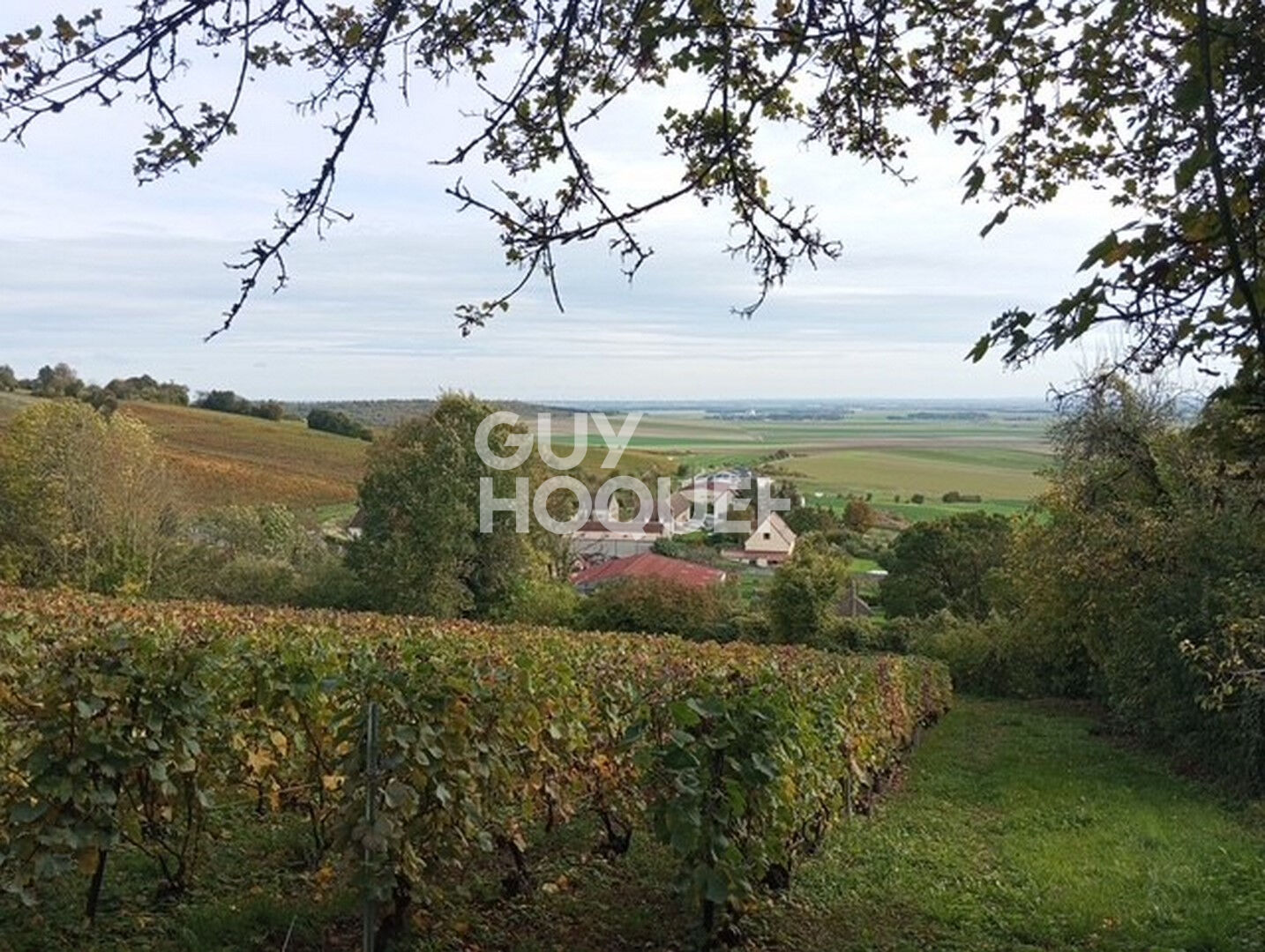 Belle propriété  à vendre à Allemant - 7 pièces, 263 m² sur 3191 m² de terrain