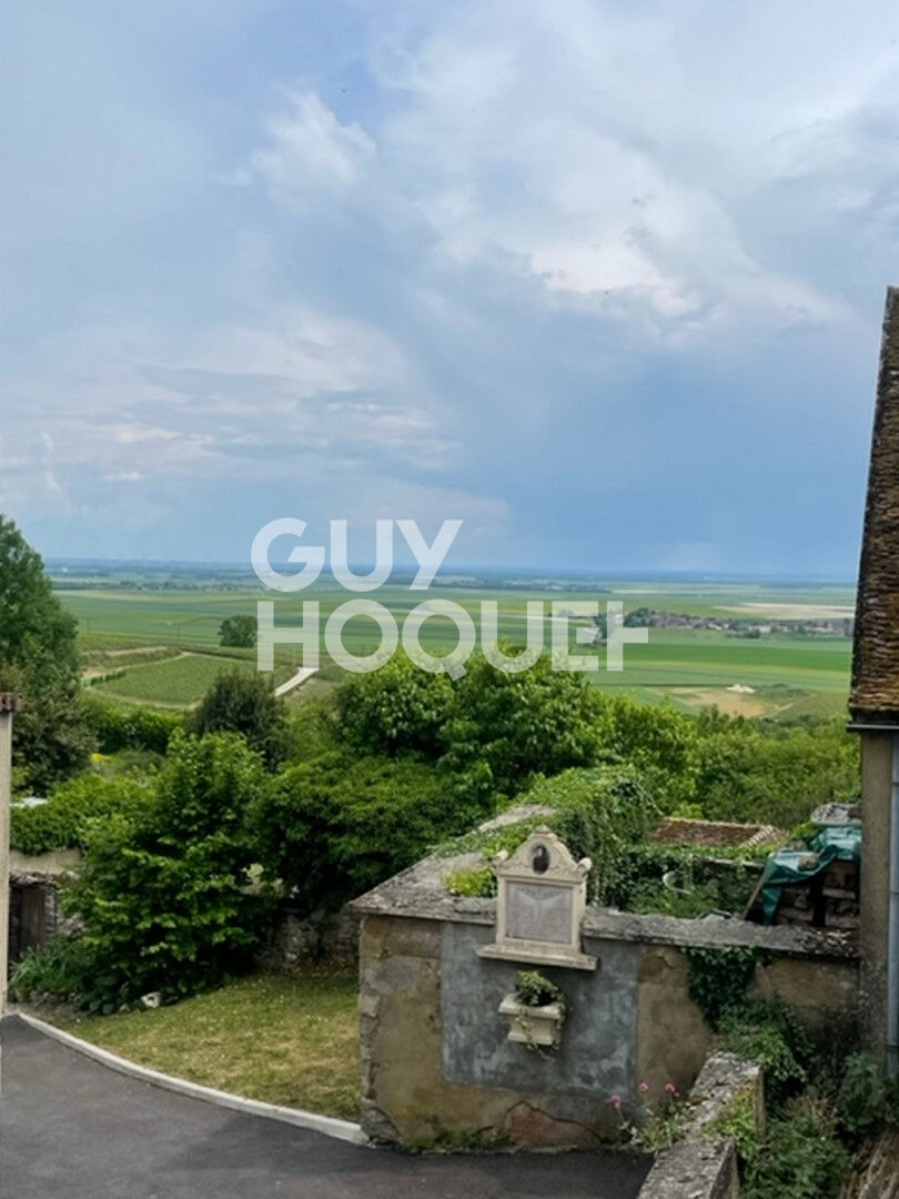 BROYES : maison de 4 pièces avec jardin indépendant