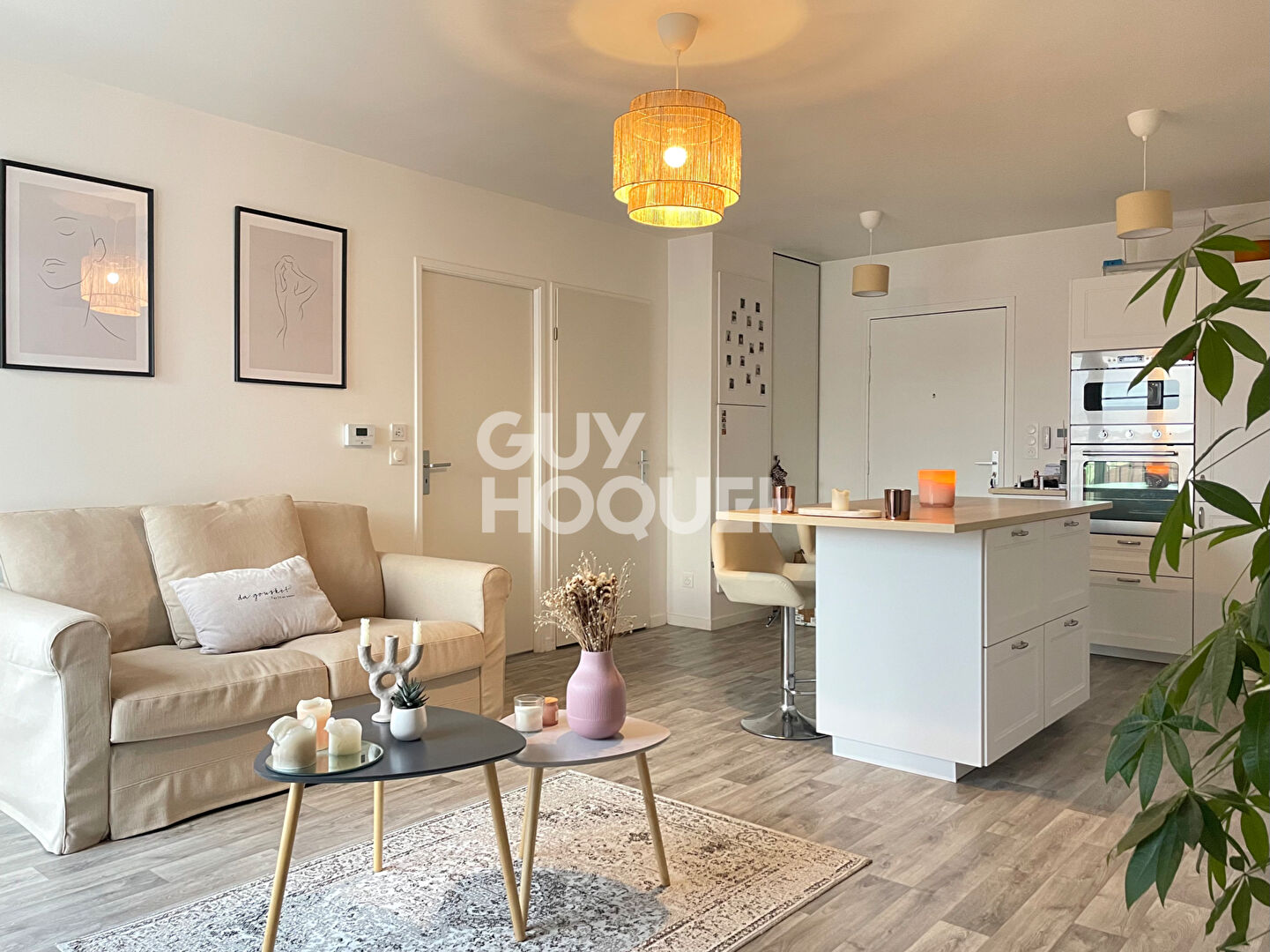 APPARTEMENT TIGERY - 3 PIÈCES DE 59,16 m2