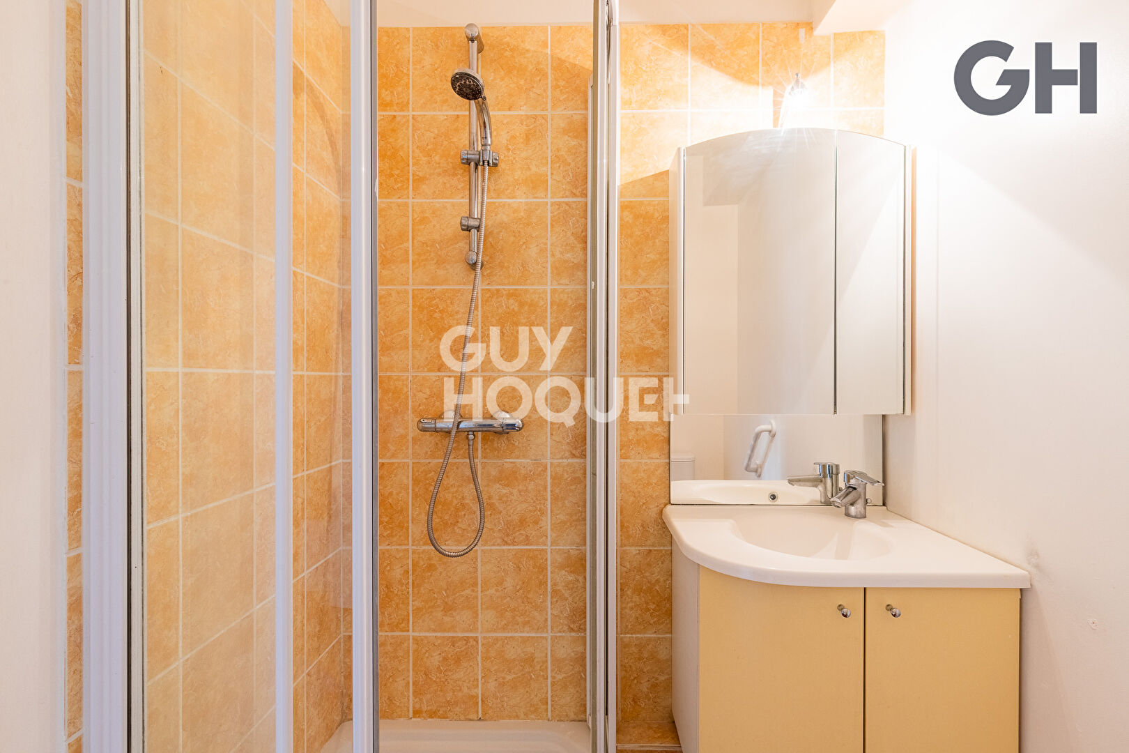 VENTE MODÈLE LAURIER : maison familiale de 8 pièces (189 m²) à SOISY SUR SEINE