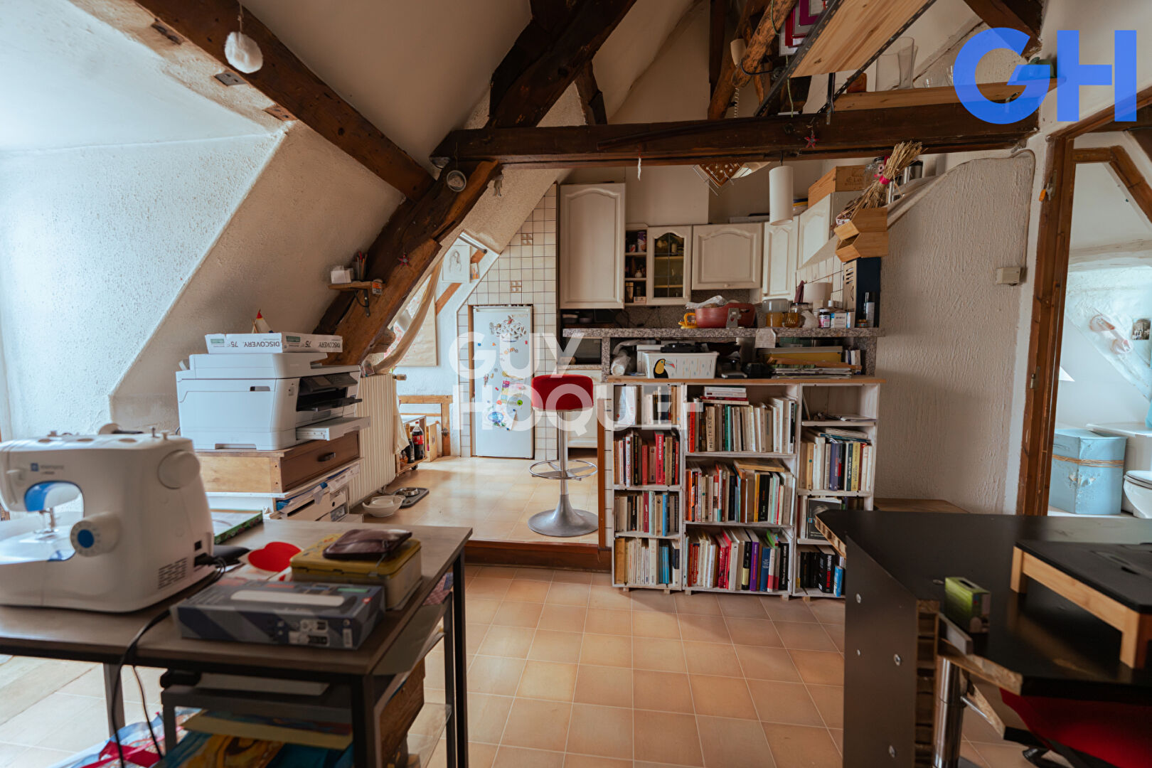 CHARMENT APPARTEMENT T2 (52m²) AU COEUR DE SOISY-SUR-SEINE