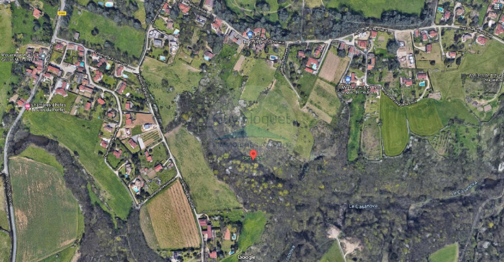 Bois à vendre à Orliénas