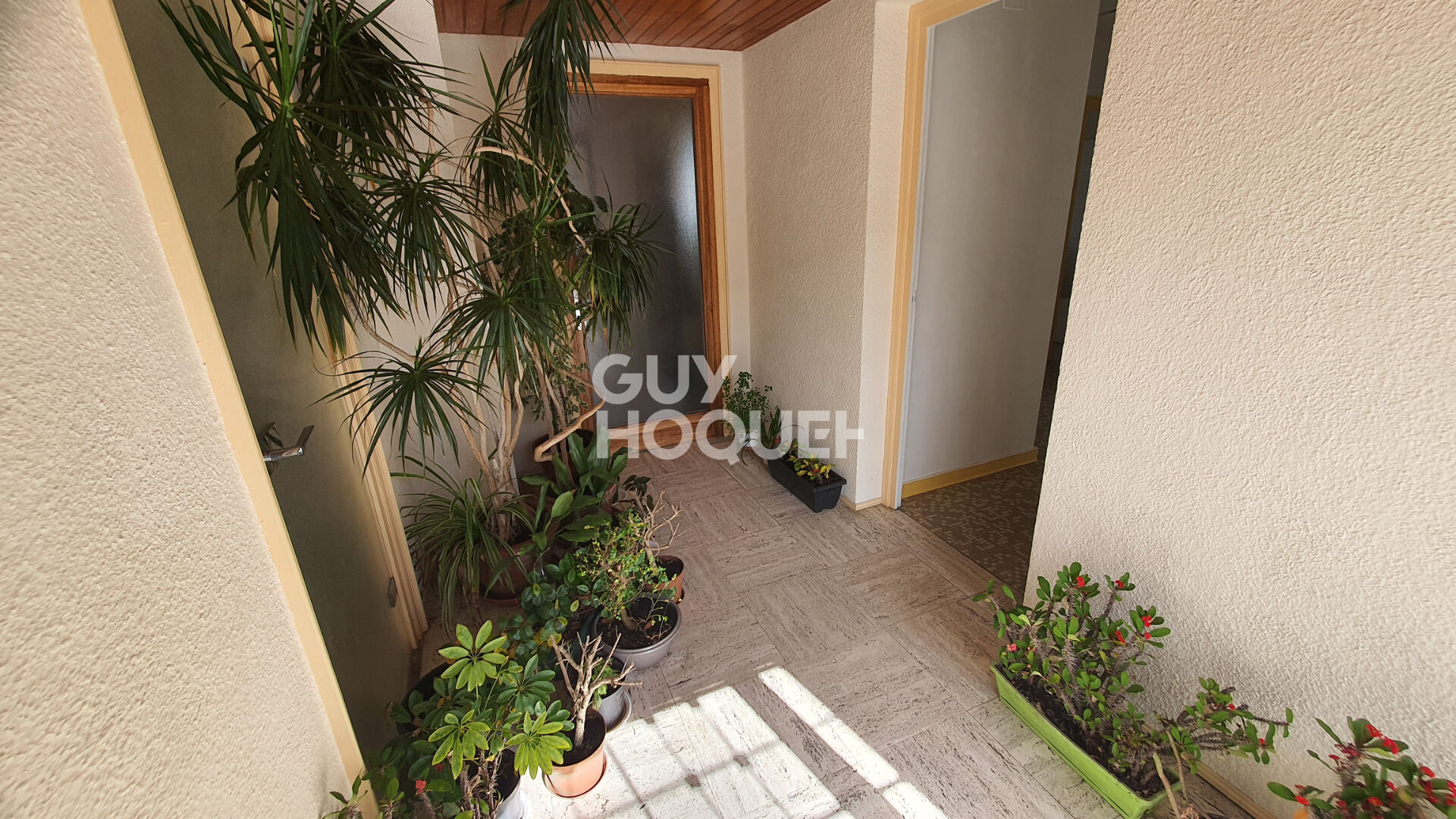 Maison avec local professionnel, 12 pièces, à Chazelles-sur-Lyon