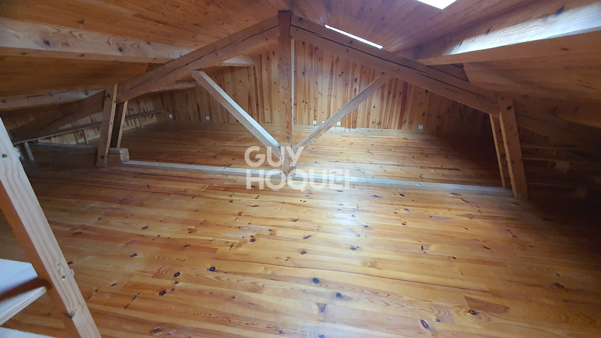 Maison avec local professionnel, 12 pièces, à Chazelles-sur-Lyon