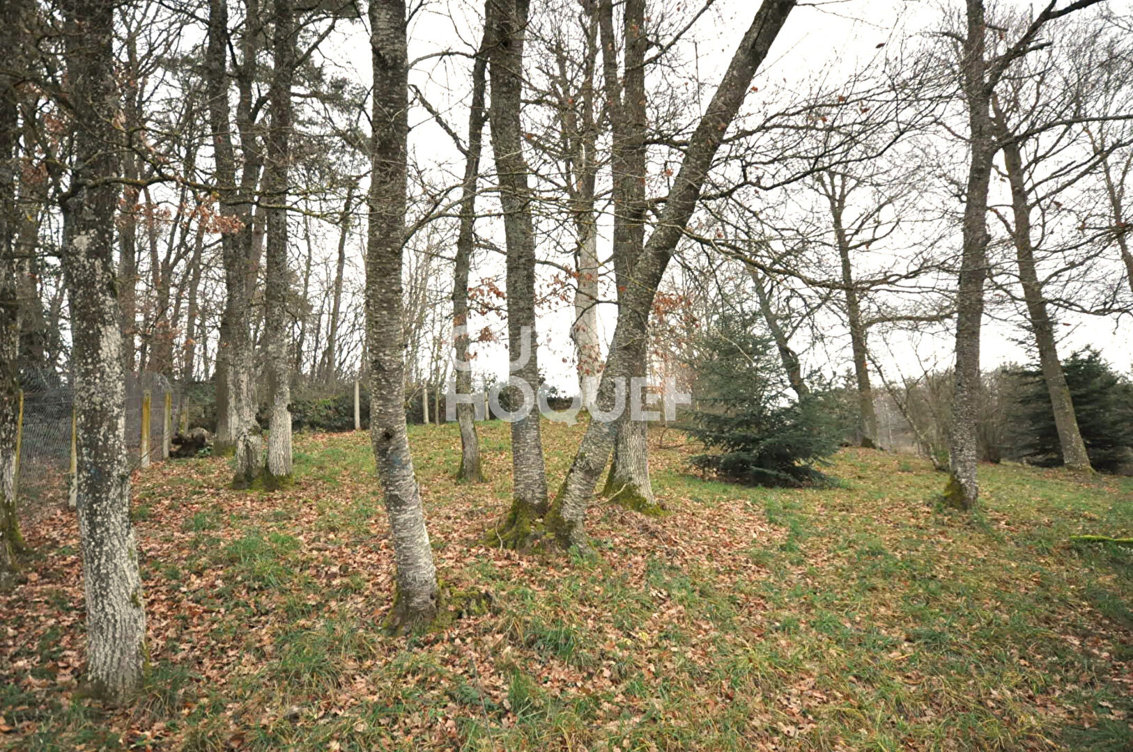 Maison de 197 m² à Saint Martin en Haut