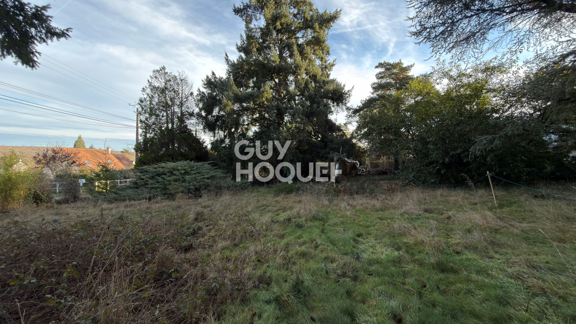 Terrain situé à Bois le Roi