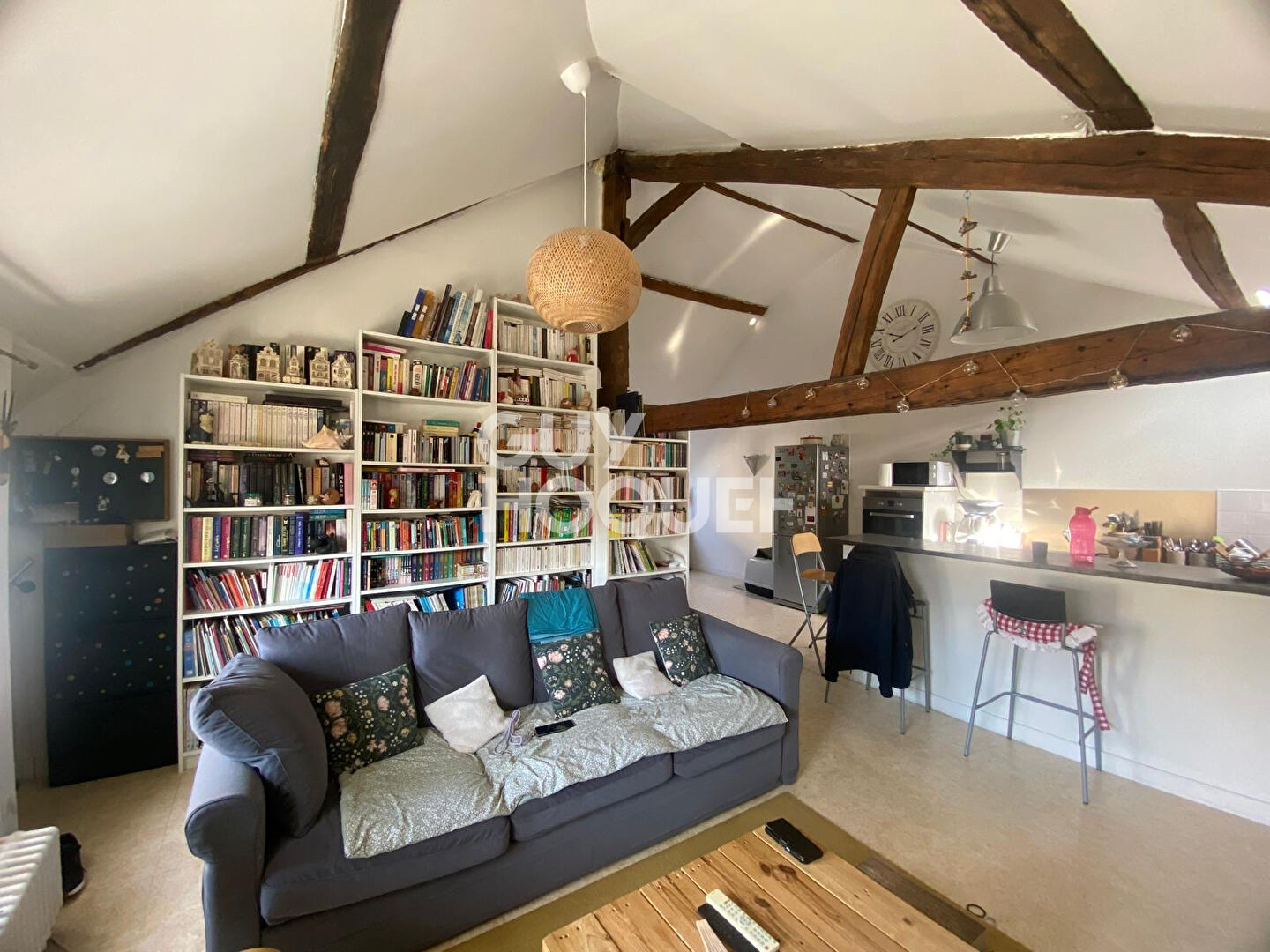 Charme et Caractère au coeur d'Ivry-la-Bataille ? Appartement atypique (65 m²)