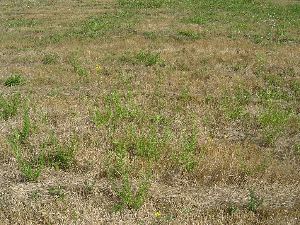 PROCHE CENTRE VILLE, TERRAIN DE 400 M2, VIABILISE