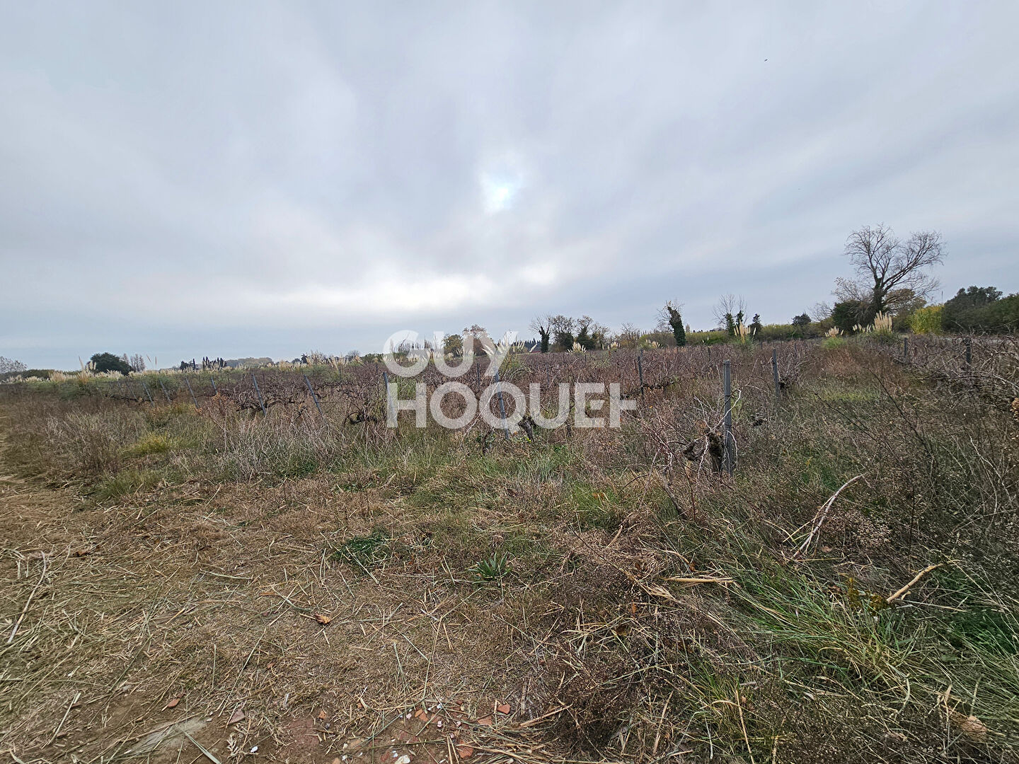 TERRAIN AGRICOLE 14 795m2 à Sainte Marie La Mer