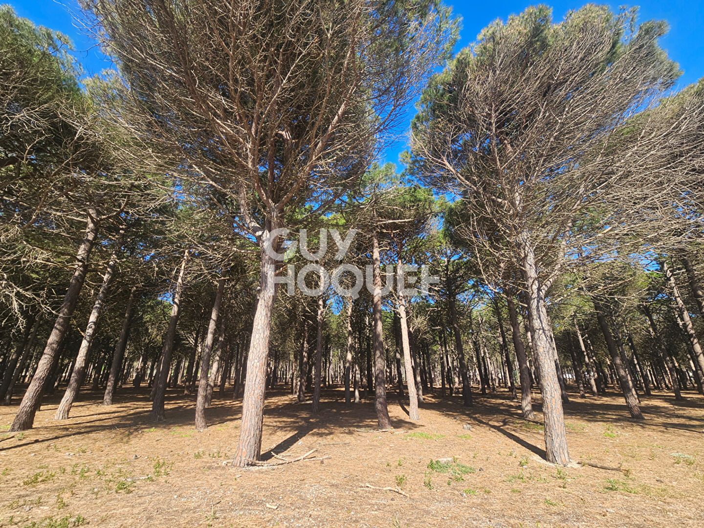 Appartement 3 pièces à vendre à Le Barcarès - Grande Plage - Cap de Front - Parc des Dosses