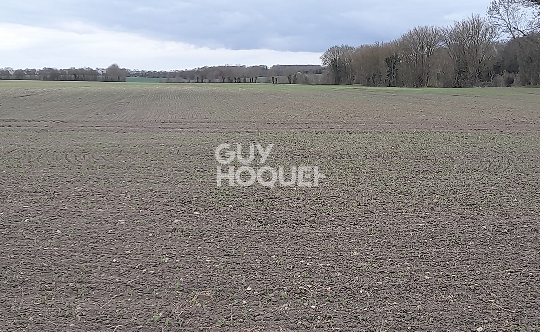 Terrain Saint Pierre La Noue